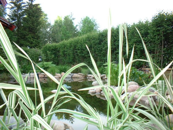 DSCF0044